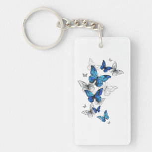 Blue Flying Butterflies Morpho