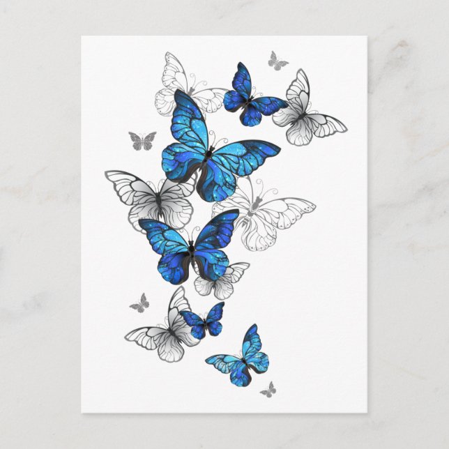 Blue Flying Butterflies Morpho Ankündigungspostkarte (Vorderseite)