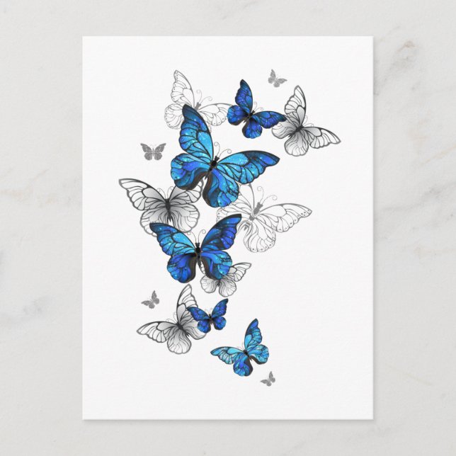 Blue Flying Butterflies Morpho Einladungspostkarte (Vorderseite)