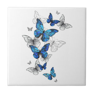 Blue Flying Butterflies Morpho Fliese