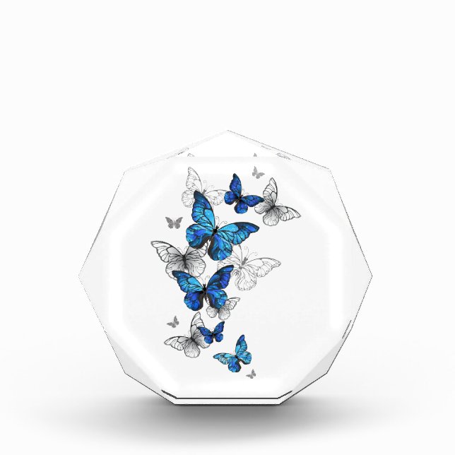 Blue Flying Butterflies Morpho Fotoblock (Vorderseite)