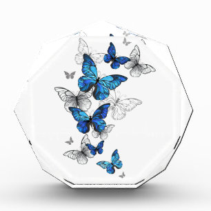 Blue Flying Butterflies Morpho Fotoblock