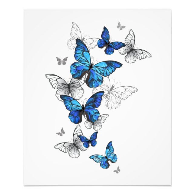 Blue Flying Butterflies Morpho Fotodruck (Vorne)