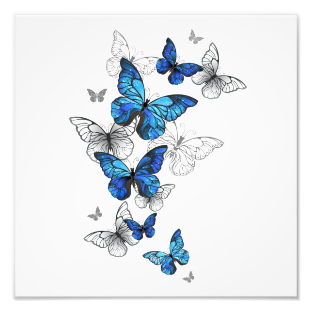 Blue Flying Butterflies Morpho Fotodruck (Vorne)