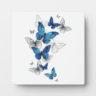 Blue Flying Butterflies Morpho Fotoplatte