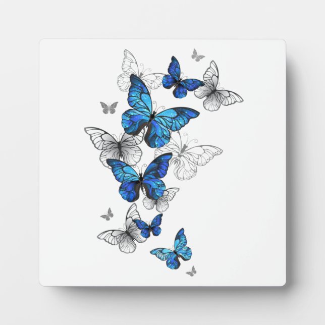 Blue Flying Butterflies Morpho Fotoplatte (Vorderseite)