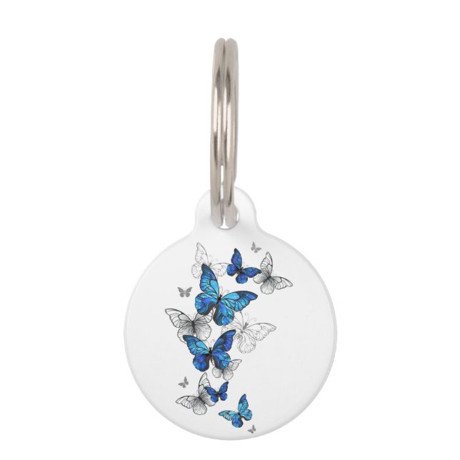 Blue Flying Butterflies Morpho Haustiermarke (Vorderseite)