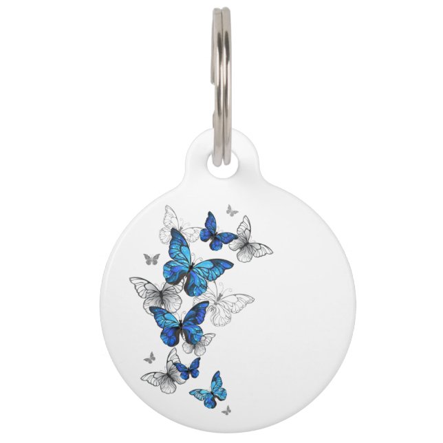 Blue Flying Butterflies Morpho Haustiermarke (Vorderseite)
