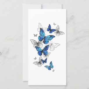 Blue Flying Butterflies Morpho Karte