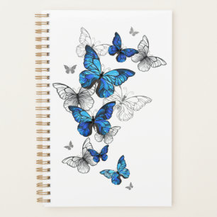 Blue Flying Butterflies Morpho Planer