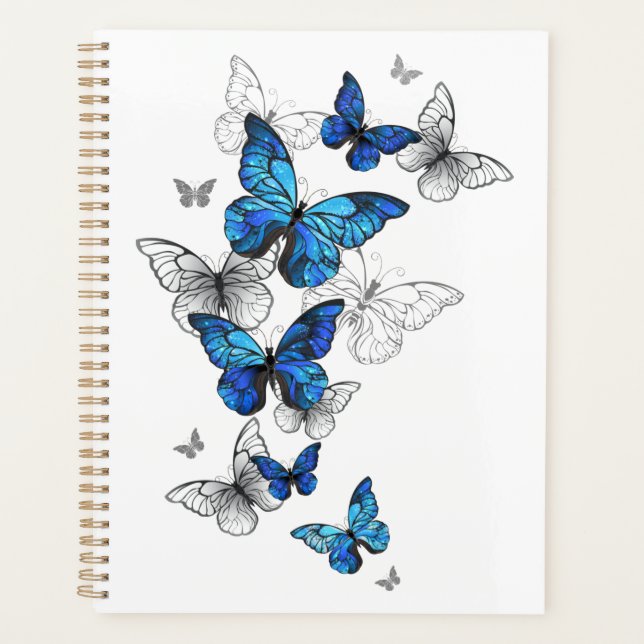 Blue Flying Butterflies Morpho Planer (Vorderseite)