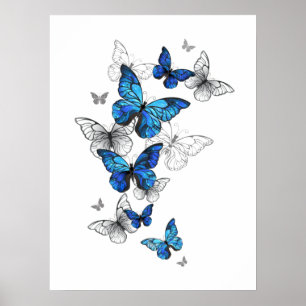 Blue Flying Butterflies Morpho Poster
