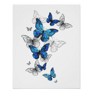 Blue Flying Butterflies Morpho Poster