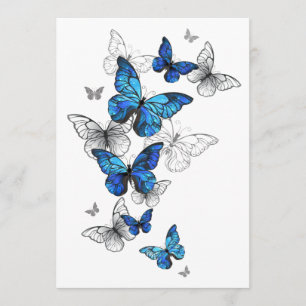 Blue Flying Butterflies Morpho Programm