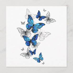 Blue Flying Butterflies Morpho Programm