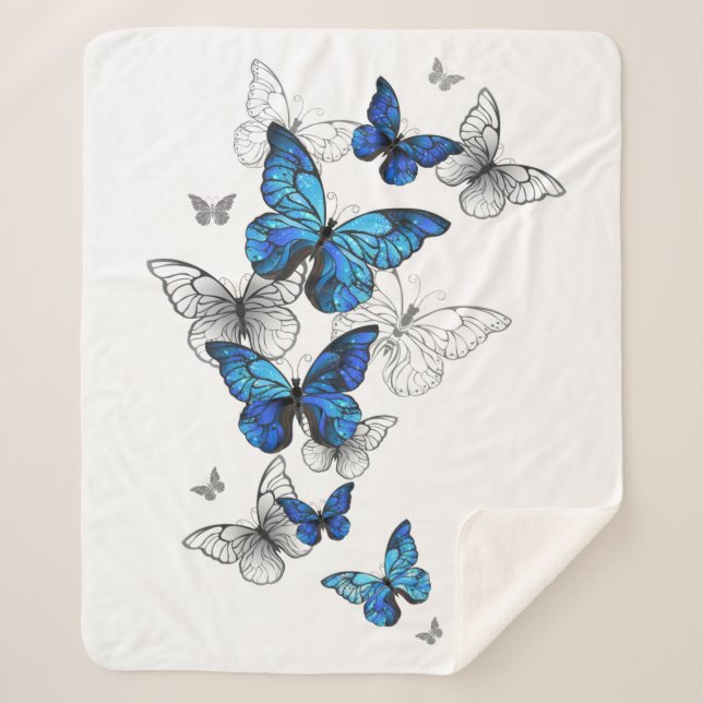 Blue Flying Butterflies Morpho Sherpadecke (Vorderseite)
