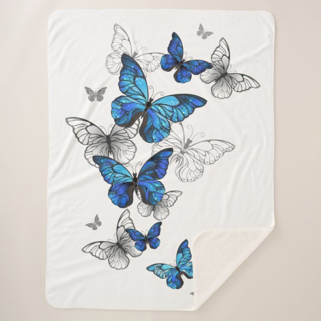 Blue Flying Butterflies Morpho Sherpadecke (Vorderseite)