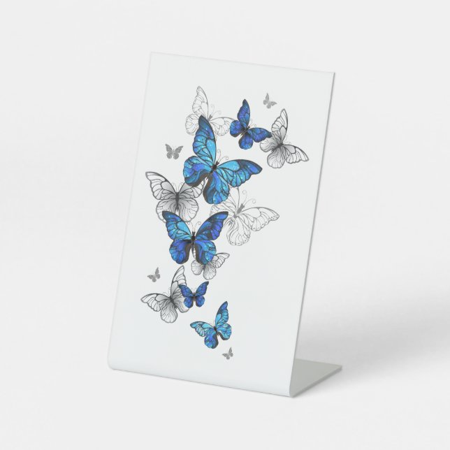 Blue Flying Butterflies Morpho Sockelschild (Vorderseite)