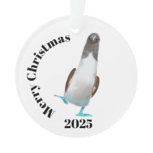 Blue-footed biddy