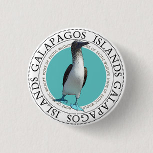Blue Footed Booby Button