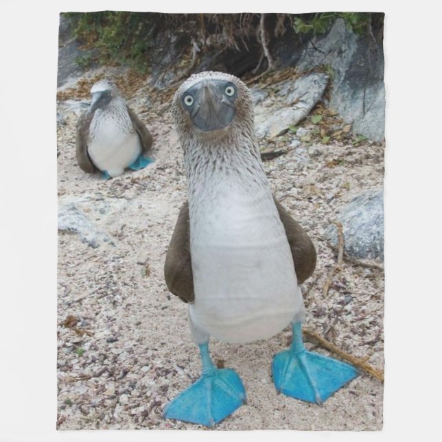 BLUE FOOTED BOOBY (Ehre, das ist sein Name) Fleecedecke (Vorderseite)