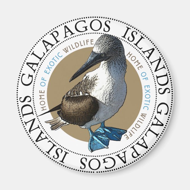 Blue Footed Booby-Magnet Magnet (Vorne)