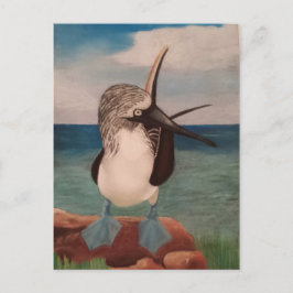 Blue Footed Booby Postkarte