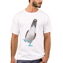 Blue -footed booby