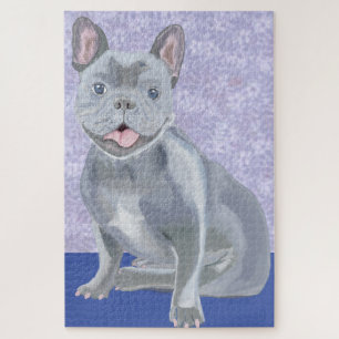 Blue French Bull Dog