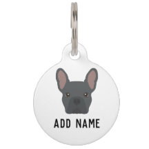 Blue French Bulldog Dog