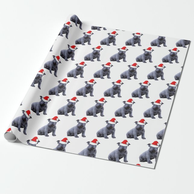 Blue Frenchie Bulldog Weihnachtsmannmütze Geschenkpapier (Ungerollt)