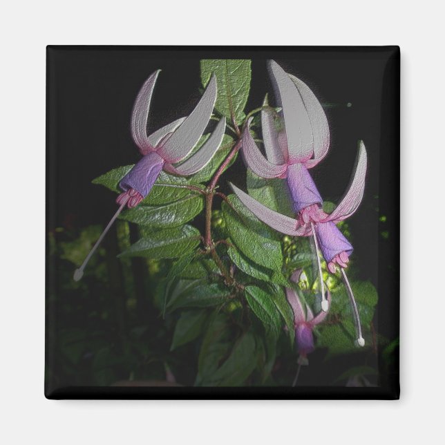 Blue Fushia Magnet (Vorne)