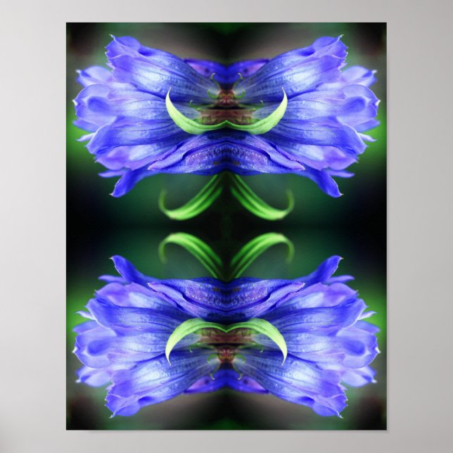 Blue Gentian Blume Abstrakt Art Poster (Vorne)