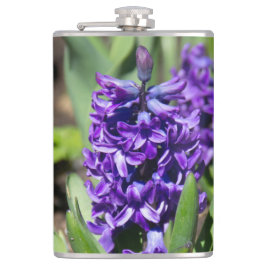 Blue Geocinth im Frühjahr Flachmann