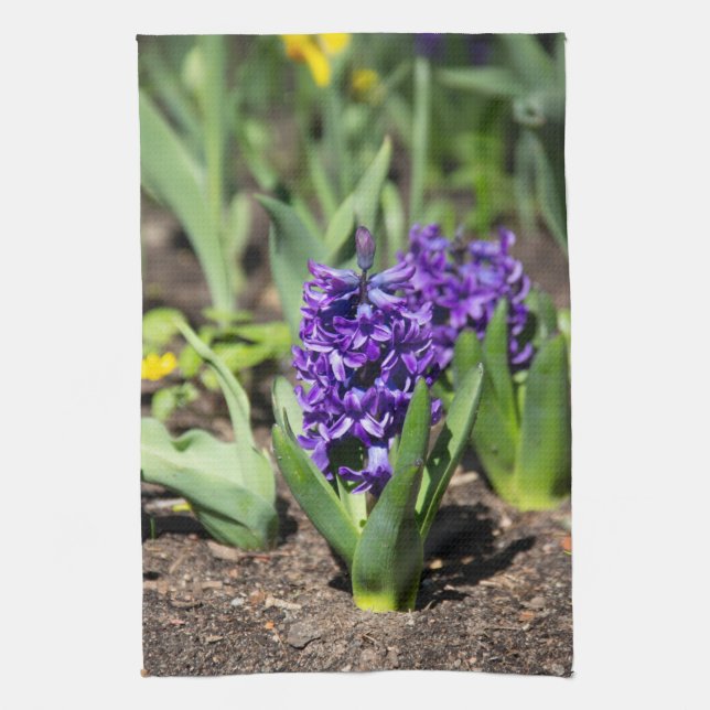 Blue Geocinth im Frühjahr Geschirrtuch (Vertikal)