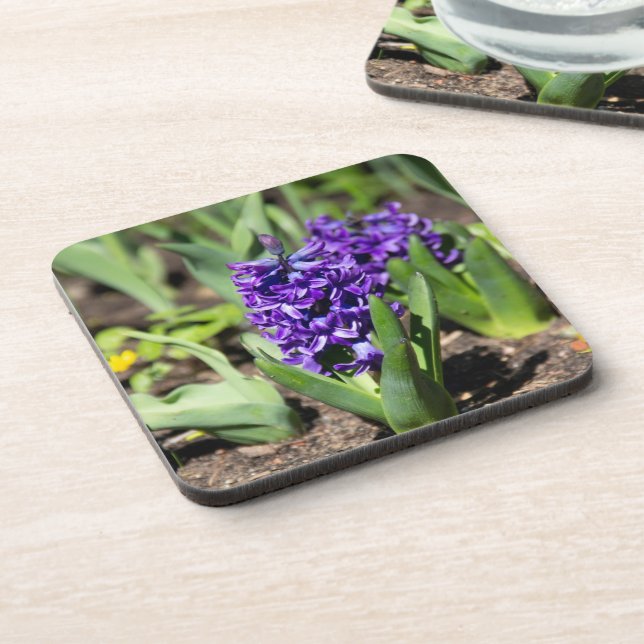 Blue Geocinth im Frühjahr Getränkeuntersetzer (Linke Seite)