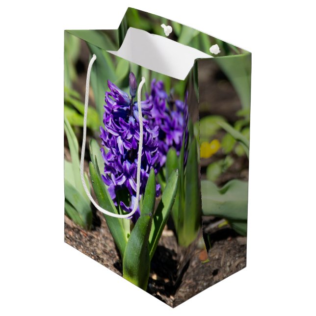 Blue Geocinth im Frühjahr Mittlere Geschenktüte (Vorderseite Schrägansicht)