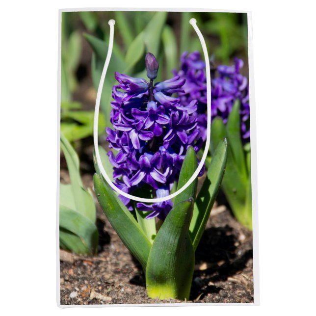 Blue Geocinth im Frühjahr Mittlere Geschenktüte (Vorderseite)