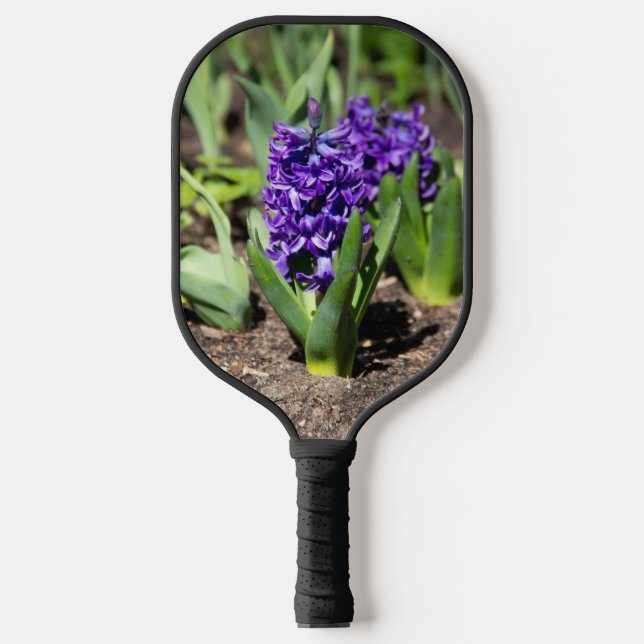 Blue Geocinth im Frühjahr Pickleball Schläger (Vorderseite)