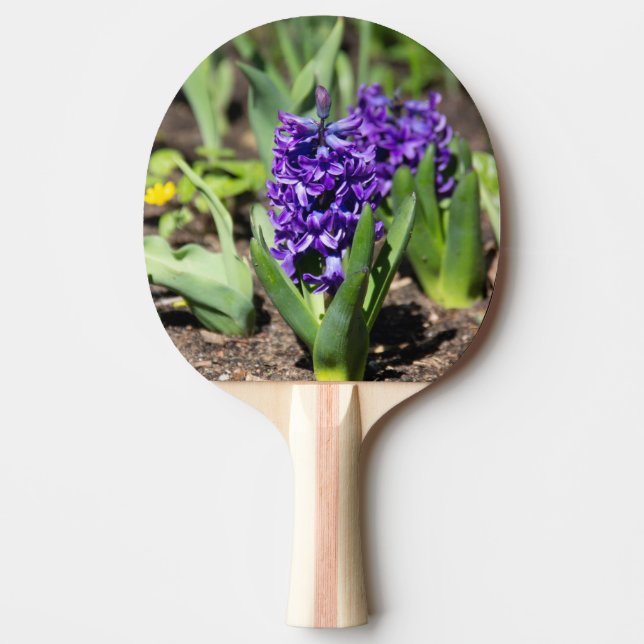 Blue Geocinth im Frühjahr Tischtennis Schläger (Vorderseite)