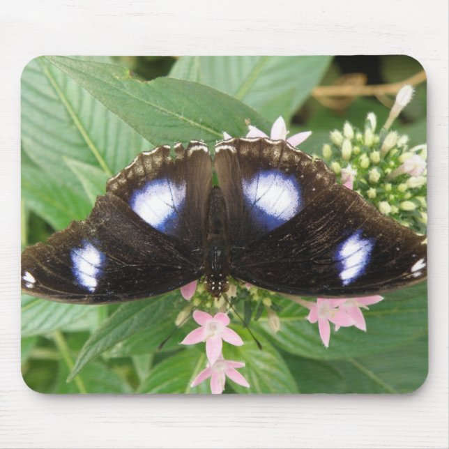 Blue Gepunktet Butterfly Mousepad (Vorne)