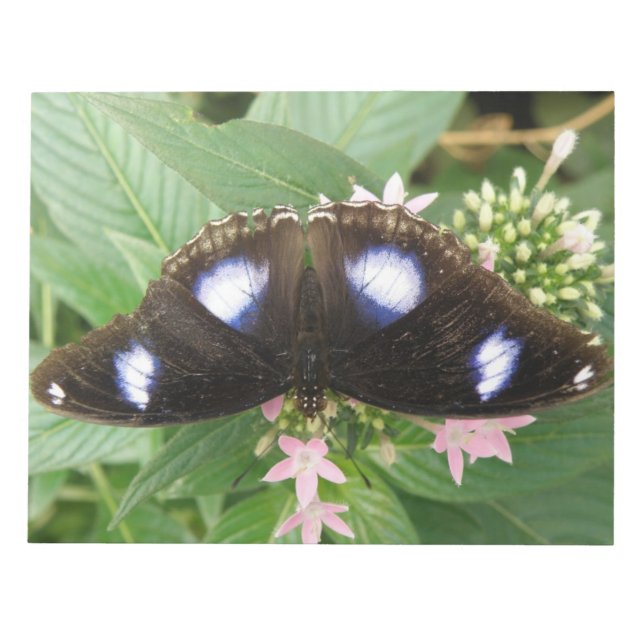 Blue Gepunktet Butterfly Notepad Notizblock (Vorderseite)