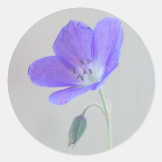 Blue Geranium Runder Aufkleber (Vorderseite)
