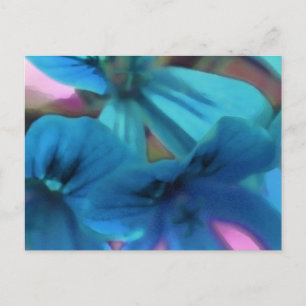 Blue Geraniums Postkarte