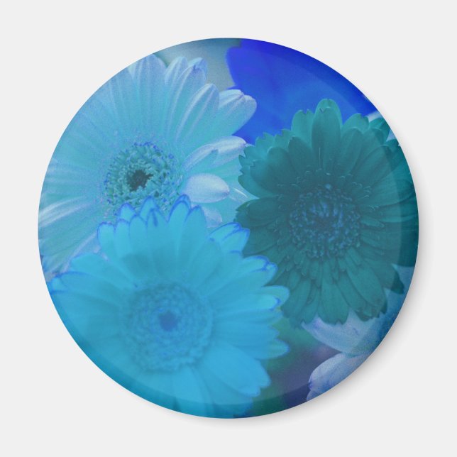 Blue Gerbera Daisy Blume Kühlschrank Magnet (Vorne)