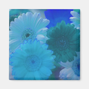 Blue Gerbera Daisy Fleurs Réfrigérateur Magnets