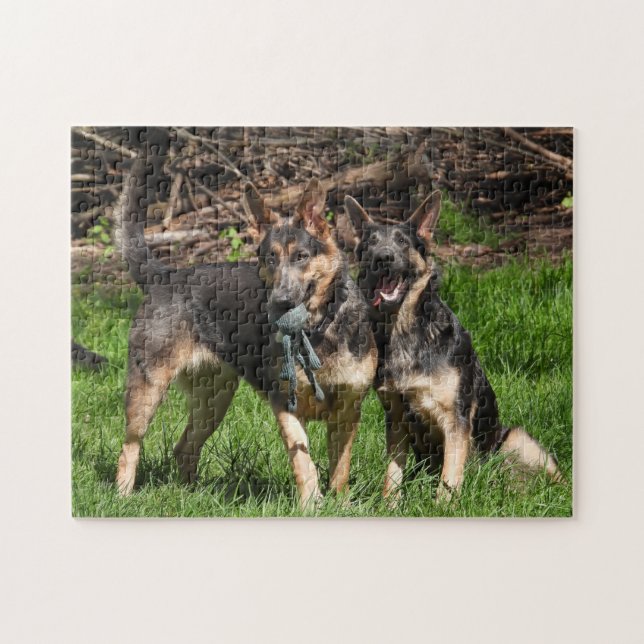 Blue German Shepherd Duo (Horizontal)