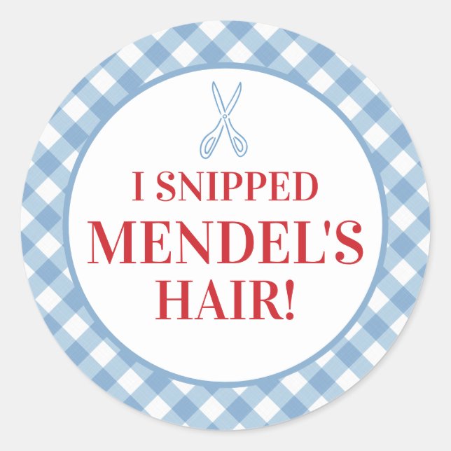 Blue Gingham Upsherin "I Snippe Seine Haare!" Aufk Runder Aufkleber (Vorderseite)