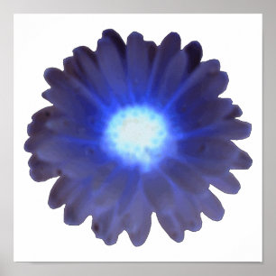 Blue Glow Marigold Poster