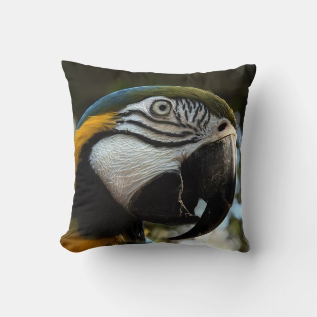 Blue Gold Macaw Face Nah Up Kissen (Vorderseite)